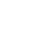 search-option